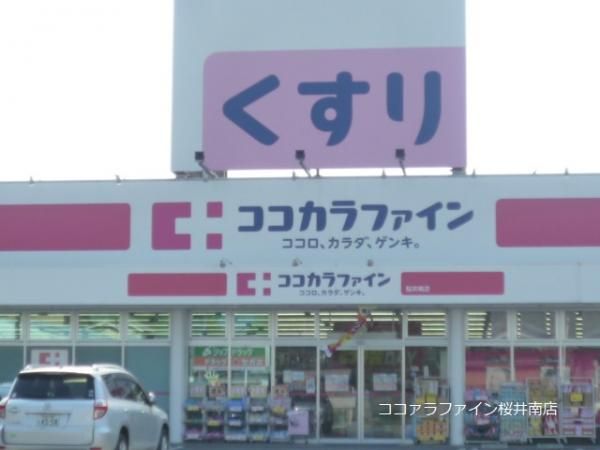 �y���Ӂz�@���R�R�J���t�@�C�������X�܂�120m��