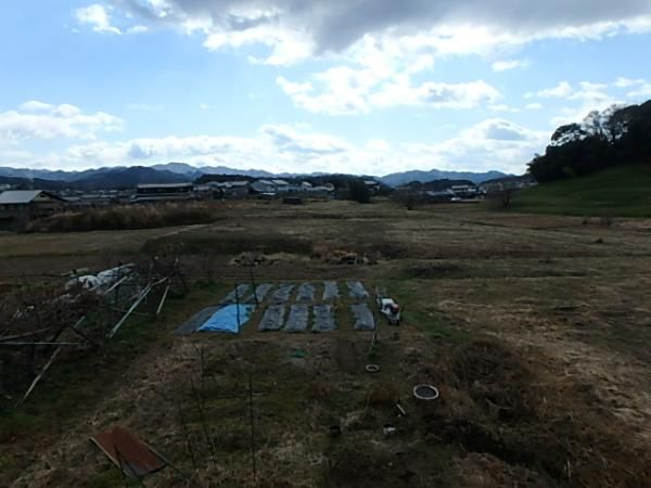 �y���]�z�@