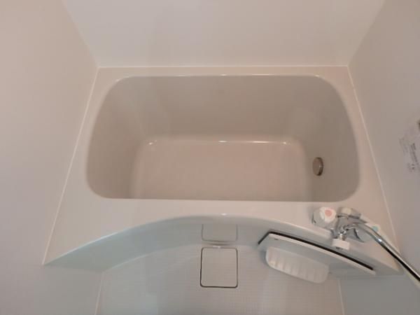 �y�o�X�z�@