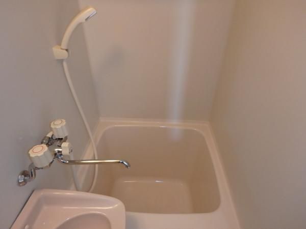 �y�o�X�z�@