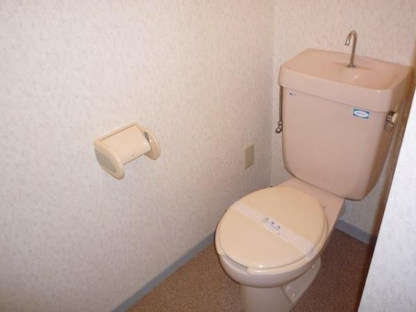 �y�g�C���z�@