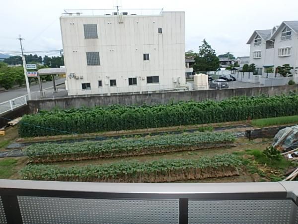 �y���]�z�@