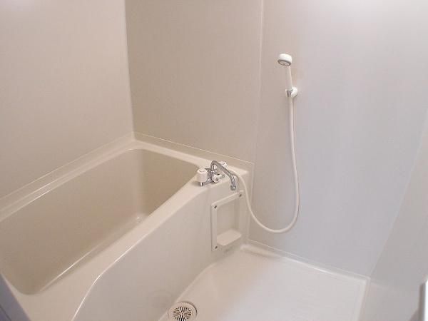 �y�o�X�z�@