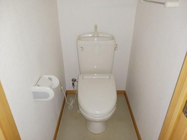 �y�g�C���z�@