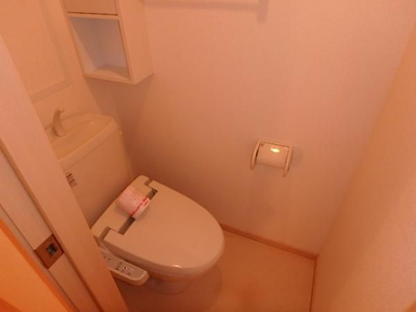 �y�g�C���z�@