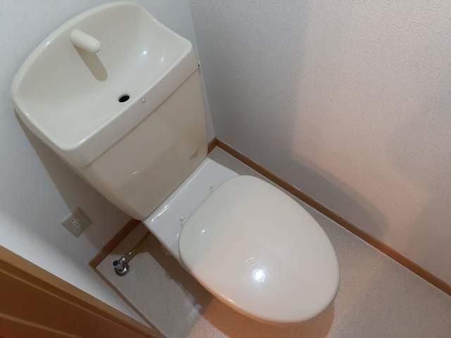 �y�g�C���z�@